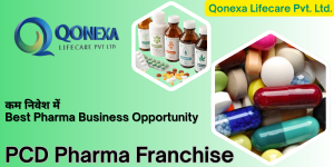 Read more about the article PCD Pharma Franchise | Best Pharma Franchise Company in India